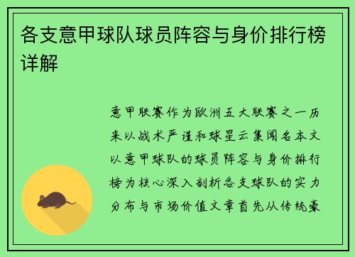 各支意甲球队球员阵容与身价排行榜详解